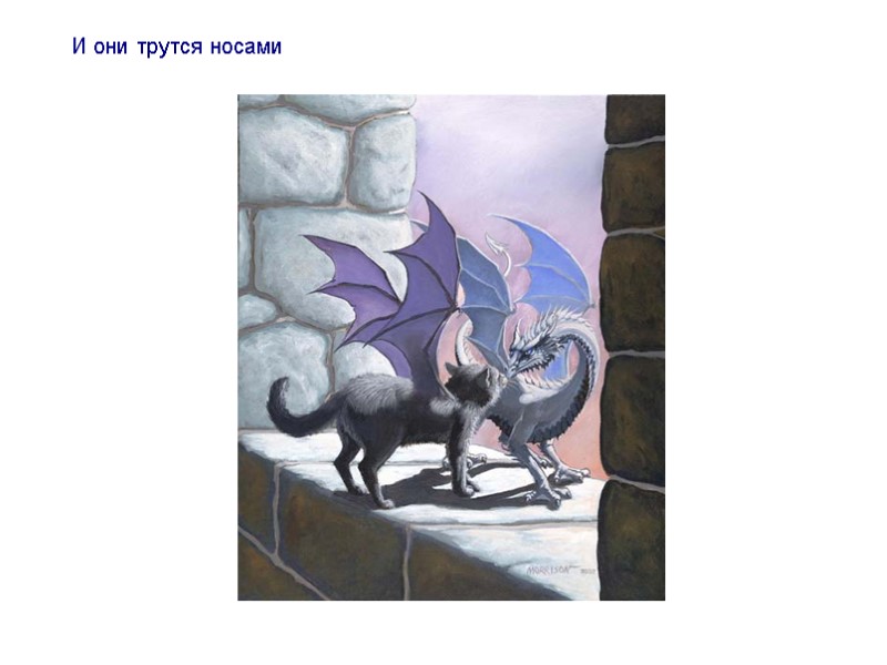 И они трутся носами